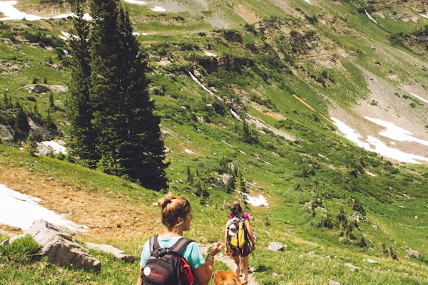 徒步者穿越秋季金色森林小径，脚下铺满落叶