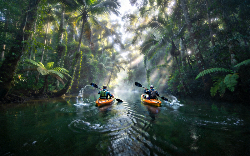 亚马逊雨林河流探险，皮划艇穿越原始丛林水域